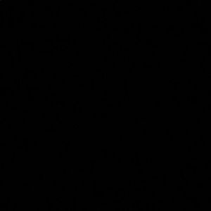 Meet your Posher, Kylee